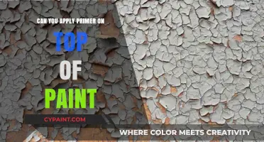 Revamping Your Walls: Primer Over Paint - A Definitive Guide