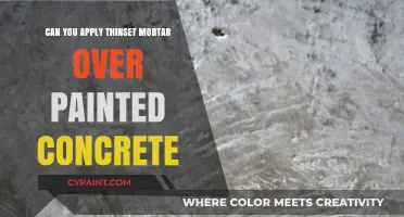 Revamping Concrete Surfaces: Thinset Mortar Over Painted Concrete?