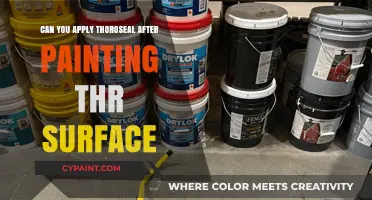 Enhancing Durability: Applying Thoroseal Post-Paint for Optimal Surface Protection