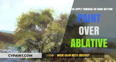 Applying Trinidad SR Hard Bottom Paint Over Ablative: What You Need to Know