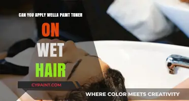 Does Wet Hair Affect Wella Paint Toner Application?