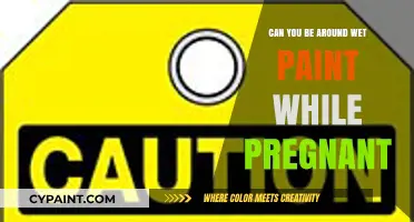 Exploring Pregnancy Safety: The Scoop on Wet Paint Exposure