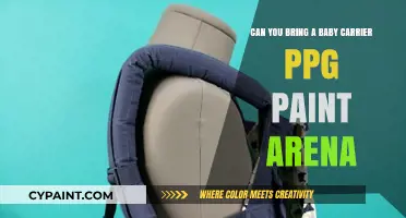 Baby Carrier Woes at PPG Paint Arena