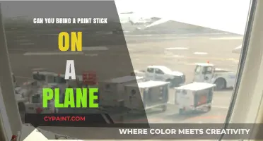 Traveling with Paint Sticks: What You Need to Know