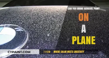Flying with Aerosol Paint: What You Need to Know