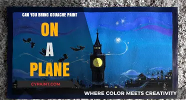 Flying with Gouache: A Painter's Guide to Air Travel