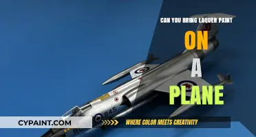 Flying with Laquer Paint: What You Need to Know