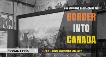 Bringing Paint to Canada: What You Need to Know