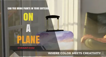 Traveling with Art Supplies: Can You Pack Paints in Your Suitcase?