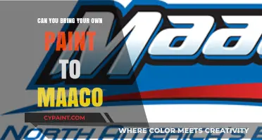 Customizing Your Ride: The Maaco Paint Policy Explained