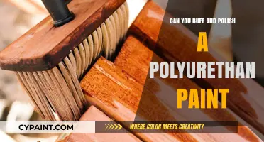 Reviving Your Ride: The Art of Buffing and Polishing Polyurethane Paint