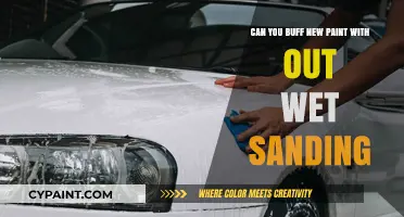 Buffing New Paint: Wet Sanding Alternative?