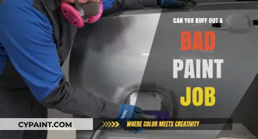 Reviving Your Ride: Tips to Buff Out a Bad Paint Job