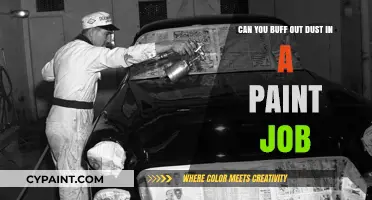 How to Remove Dust Specks from Your Car's Paint Job