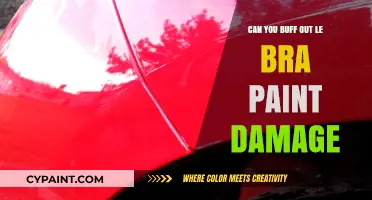 Reviving Your Ride: How to Buff Out Le Bra Paint Damage