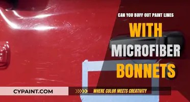 Buffing Out Paint Lines: Microfiber Bonnets' Power