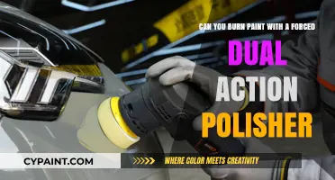 Can Forced Dual Action Polishers Burn Paint? Expert Insights