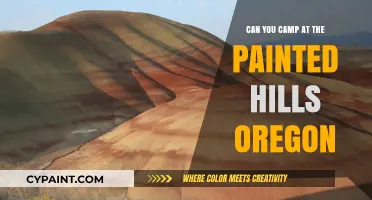 Exploring the Painted Hills: A Guide to Camping in Oregon's Colorful Wonderland