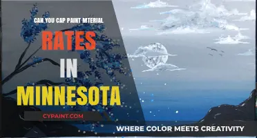 Exploring the Possibility of Capping Paint Material Rates in Minnesota