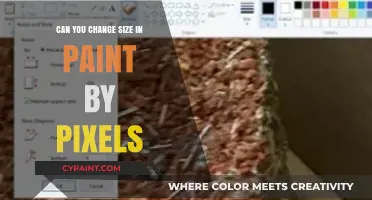Mastering Pixel Precision: Resizing Images in Paint