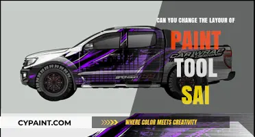 Customizing Paint Tool SAI: Layout Adjustments and More