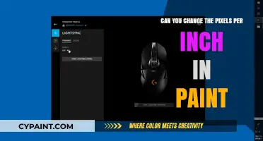 Adjusting Pixels Per Inch in Paint: Can It Be Done?