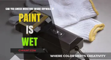 Detecting Drywall Moisture Under Wet Paint: Tips and Tools