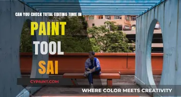 How to Track Total Editing Time in Paint Tool SAI