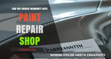 Selecting the Right Auto Paint Repair Shop: Warranty Options Explored