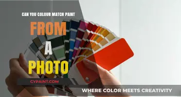 Unlocking the Secrets of Paint Color Matching from Photos