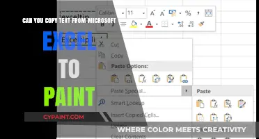Copying Text from Excel to Paint: Is it Possible?