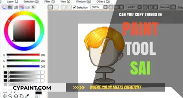 Mastering the Art of Duplication in Paint Tool SAI