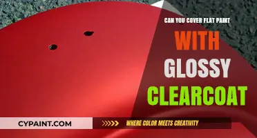 Revamping Your Walls: Flat Paint Meets Glossy Clear Coat