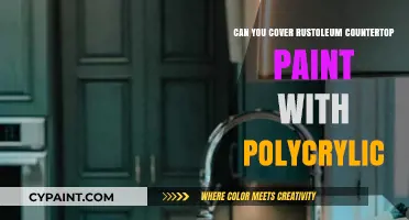 Revamping Your Countertops: Rust-Oleum Paint and Polycrylic Top Coat
