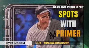 Fixing Ripped Paint: Can Primer Cover Up Damaged Spots?