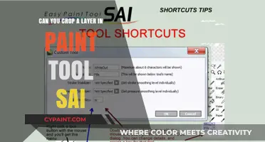 How to Crop a Layer in Paint Tool SAI?