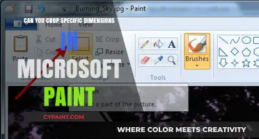 Mastering Microsoft Paint: Cropping Images to Specific Dimensions