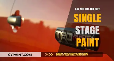 Reviving Your Ride: The Art of Single Stage Paint Cutting and Buffing