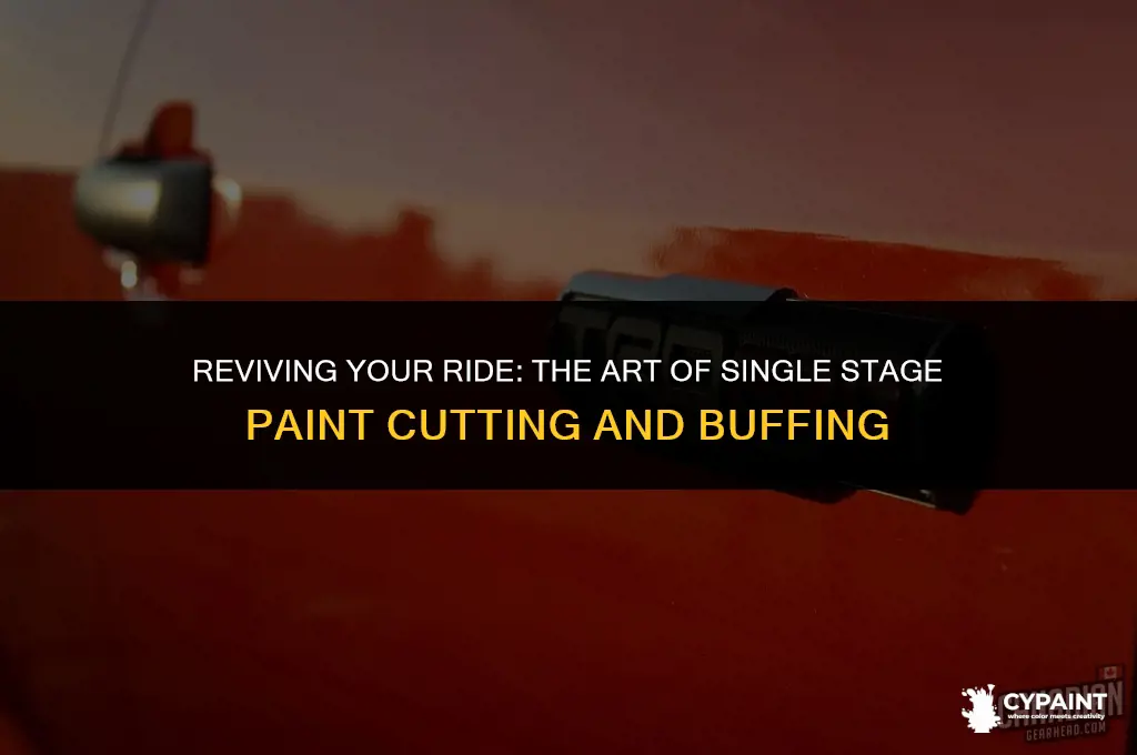 can you cut and buff single stage paint