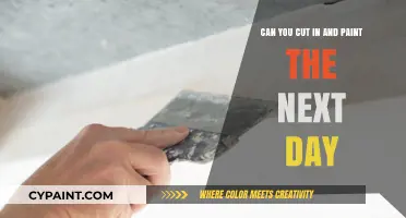 Cut and Paint: The Quick Turnaround Guide
