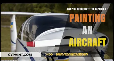 Depreciation Rules for Aircraft Painting Expenses