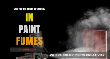 The Hidden Dangers of Paint Fumes: A Deadly Inhalation Risk?