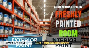 Fresh Paint, Fatal Risk? The Truth About Sleeping in Painted Rooms