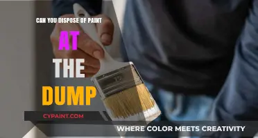 Proper Paint Disposal: Beyond the Dump