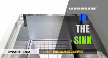 The Sink Disposal Dilemma: A Painter's Guide to Eco-Friendly Cleanup