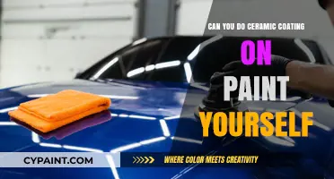 DIY Ceramic Coating: Transform Your Paint Job at Home