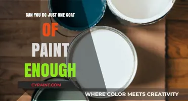 One Coat of Paint: Enough or Not?