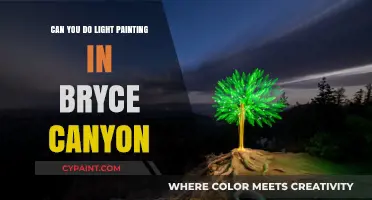 Capturing Bryce Canyon's Night Sky: A Light Painting Adventure
