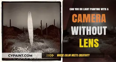 Light Painting Without a Lens: Creative Camera Techniques Explored