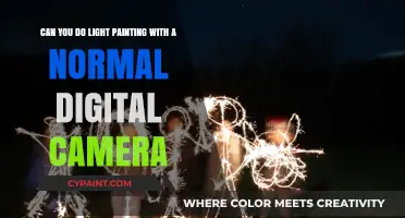 Light Painting with a Normal Digital Camera: Tips and Techniques